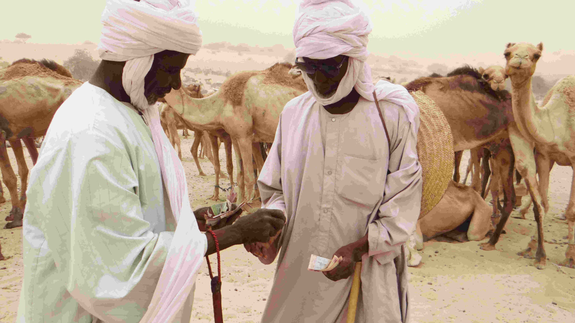 praps 2 tchad article image illustrative